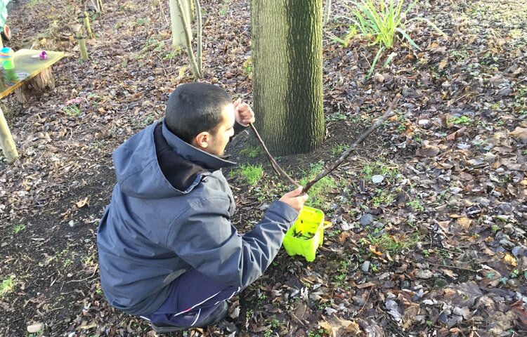 Image of 5.4 in Forest school 